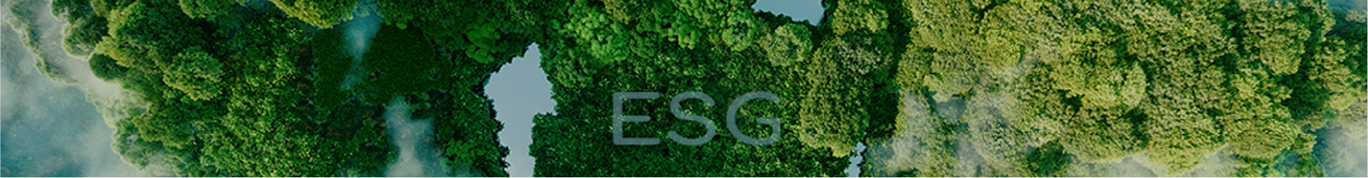 ESG